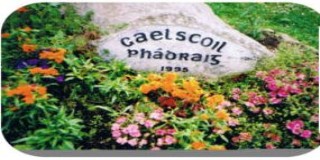 Gaelscoil-gaelic revival