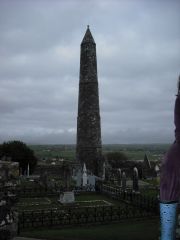 Irish Language has not survived as in tact as  some round towers
