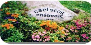Gaelscoil-gaelic revival